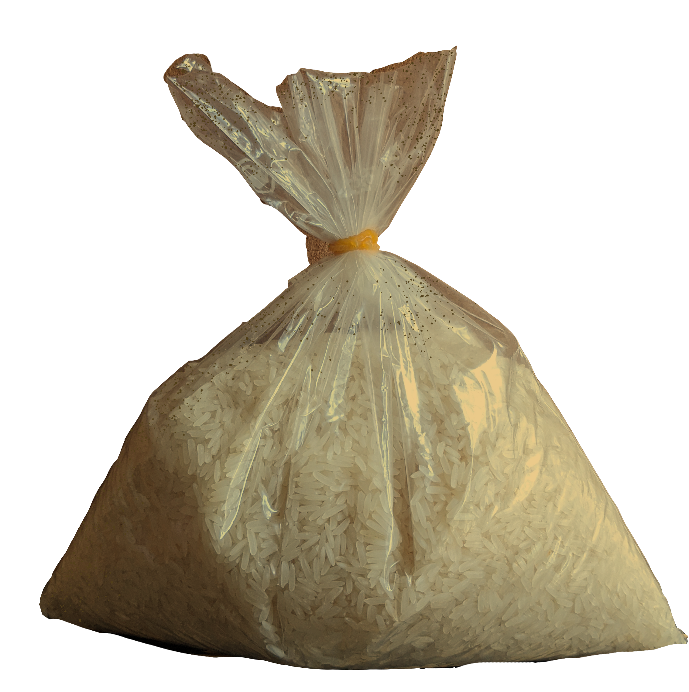 bag of rice